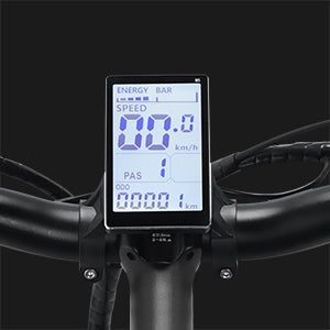 Denver E-Bike Co. RC20 Blue