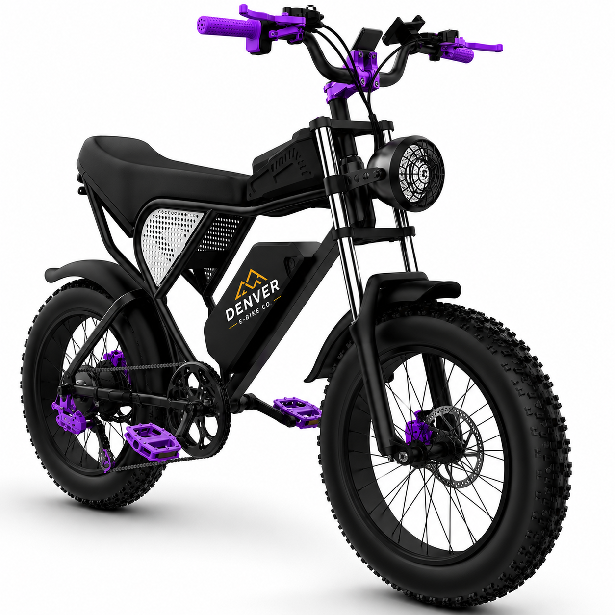 RC20 Electric Bike for Adults