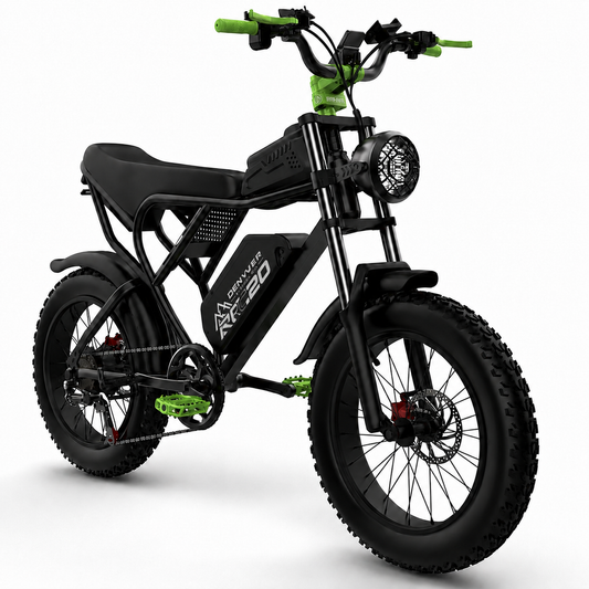Denver E-Bike Co. RC20