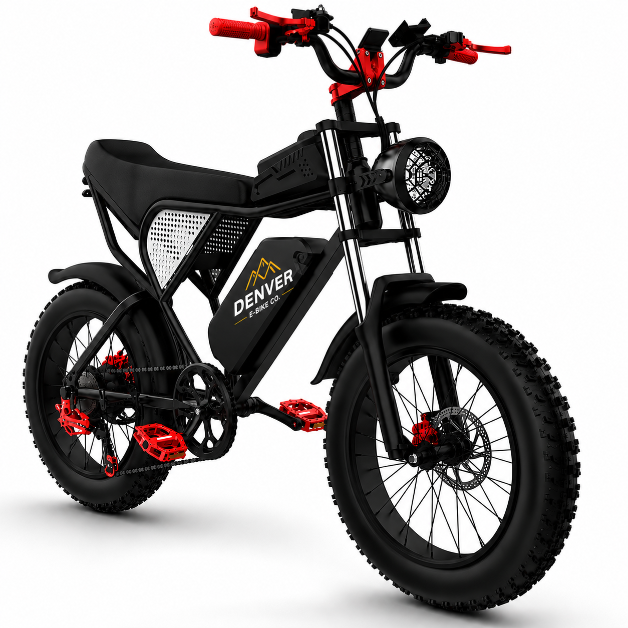 RC20 Electric Bike for Adults