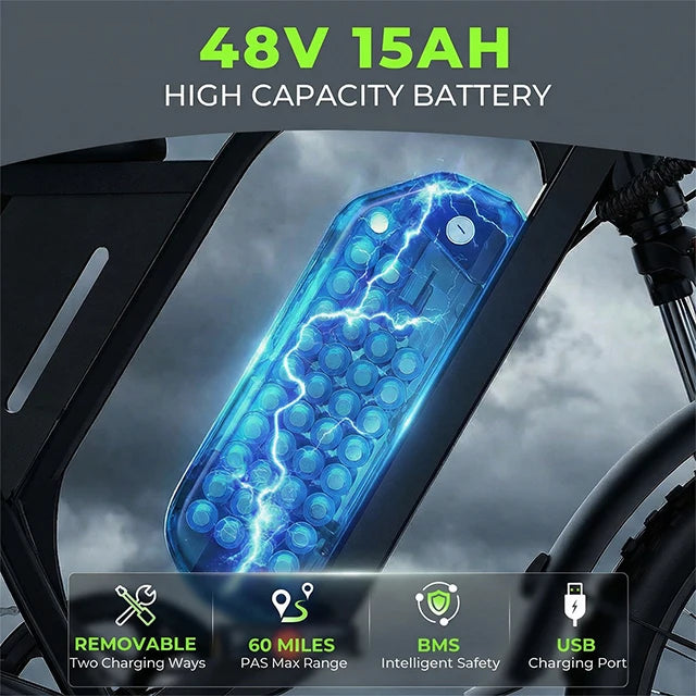 Denver Ebike Co. Atlas F6 750W - 15AH